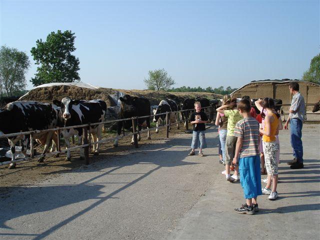 Boerderij 030.jpg